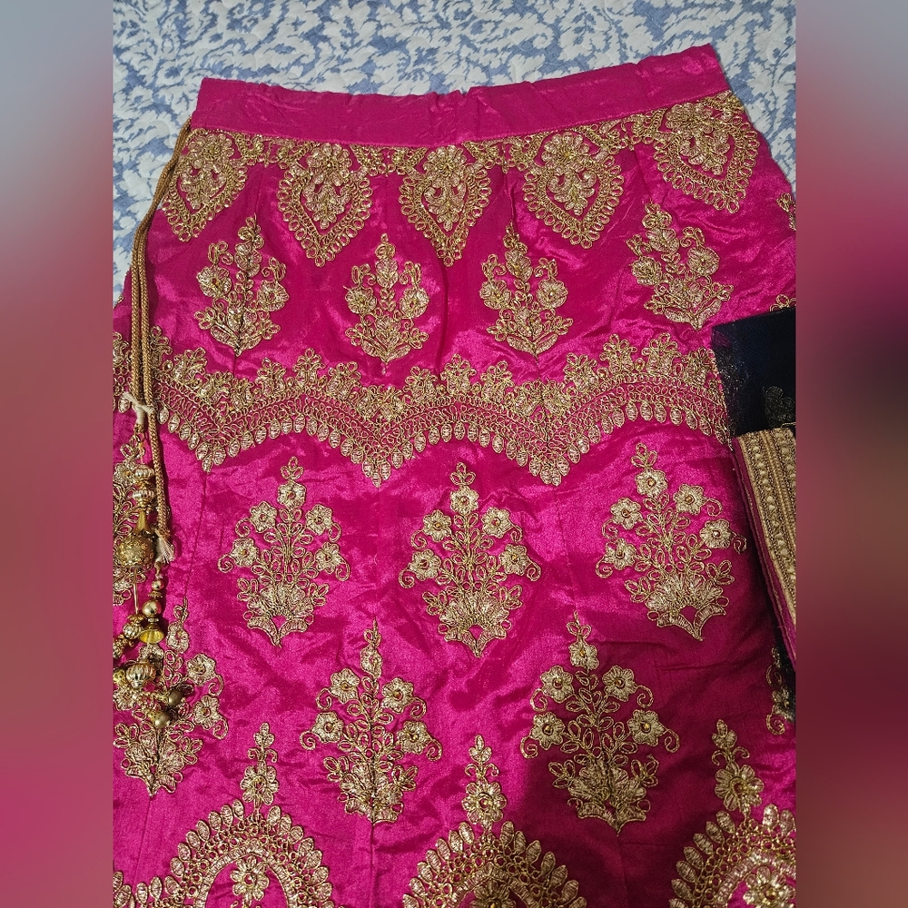 Traditional Women’s Pink Lehenga with Gold Embroidery - Picture 3 of 8